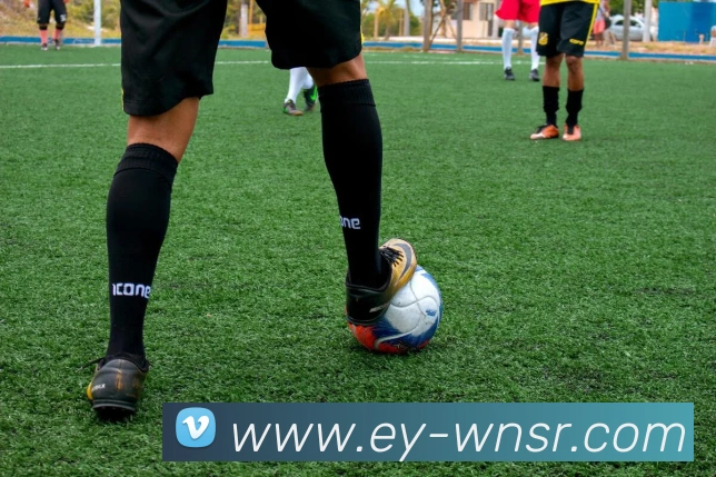 威尼斯人线上娱乐APP 封面图